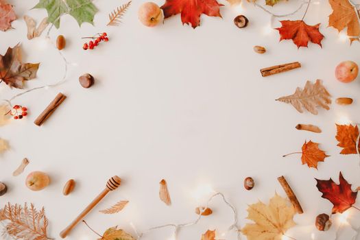 Beautiful autumn flatlay, frame of orange and red leaves. Creative autumn pattern, postcard. copy space, top view