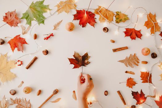 Beautiful autumn flatlay, frame of orange and red leaves. Creative autumn pattern, postcard. copy space, top view.