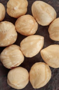 Organic hazelnut on a dark background macro