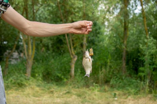 Fishing. Fish on a hook. Selective focus Nature