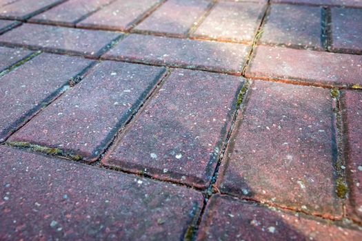 Rectangular red paving stones laid on the ground