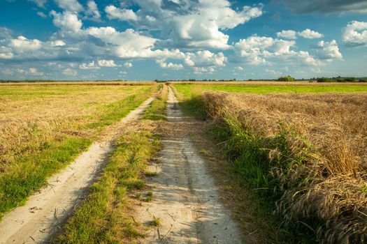 Country road through fields with grain and mowed field, summer view