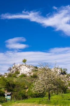 Palava landscape, Natural monument Cat Rock (Kocici skala), Southern Moravia, Czech Republic