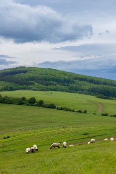 Spring landscape in White Carpathians, Czech Republic