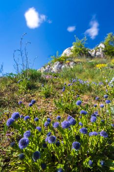 Palava landscape, Natural monument Cat Rock (Kocici skala), Southern Moravia, Czech Republic