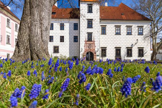 Trebon castle and town, Southern Bohemia, Czech Republic