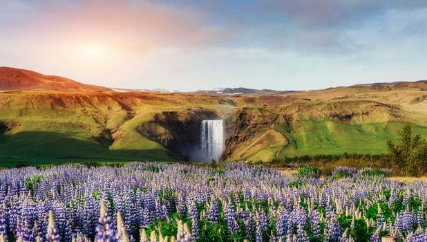 Great waterfall Skogafoss in south of Iceland near the town of Skogar