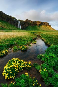 Seljalandfoss waterfall. Beautiful summer sunny day Iceland Europe