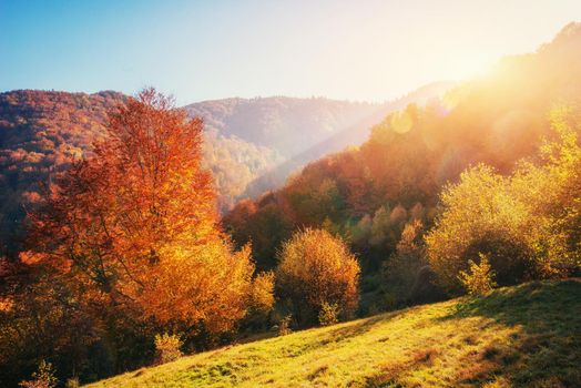mountain range in the Carpathian Mountains in the autumn season. Fantastic sunset. Ukraine Europe