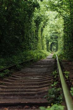 natural tunnel of love emerging from the trees along the railway in Ukraine