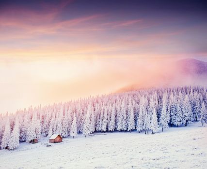 Mysterious winter landscape majestic mountains in winter. Magical winter snow covered tree. Europe