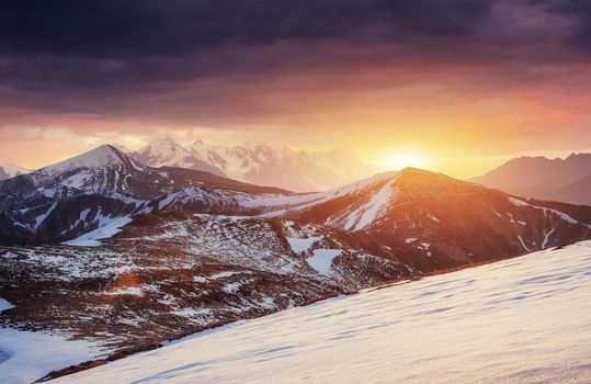 magical winter snow covered tree. Sunset in the Carpathians. Ukraine, Europe