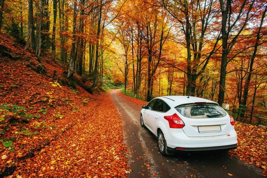 car on a forest path. Beautiful road in mountains. Ukraine Europe