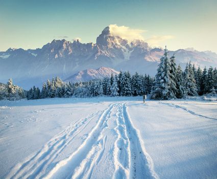 the winter road. Dramatic scene. Carpathian Ukraine Europe