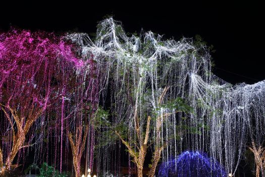 LED lighting decoration on a tree (celebrating event)