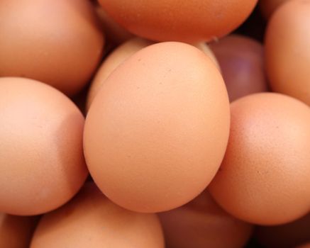 close-up of fresh eggs for sale at a market