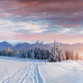 the winter road. Dramatic scene. Carpathian Ukraine Europe