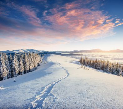 the winter road. Dramatic scene. Carpathian Ukraine Europe