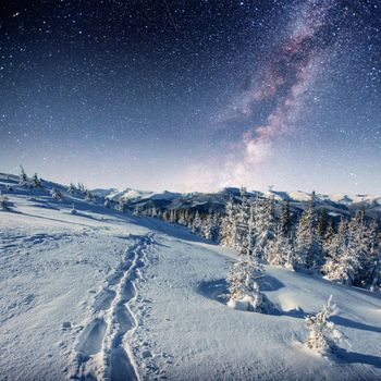 starry sky in winter snowy night. fantastic milky way in the New Year's Eve.