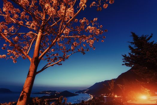 Beautiful scenery lamps and rocks along the coastal highway along the beautiful coastline at sunset.