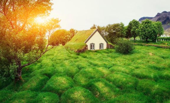 A small wooden church and cemetery Hofskirkja Hof, Skaftafell Iceland. Scenic sunset through tree crowns.