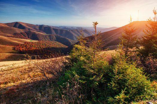 mountain range in the Carpathian Mountains in the autumn season. Fantastic sunset. Ukraine, Europe.