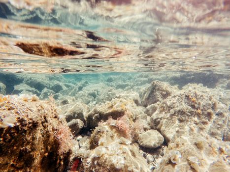 stones and seaweed underwater. Beauty world. Europe
