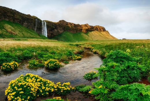 Seljalandfoss waterfall. Beautiful summer sunny day Iceland Europe