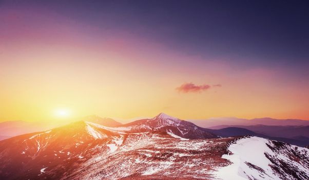 magical winter snow covered tree. Sunset in the Carpathians. Ukraine, Europe