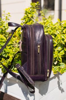 burgundy leather backpack. Green bush on a background