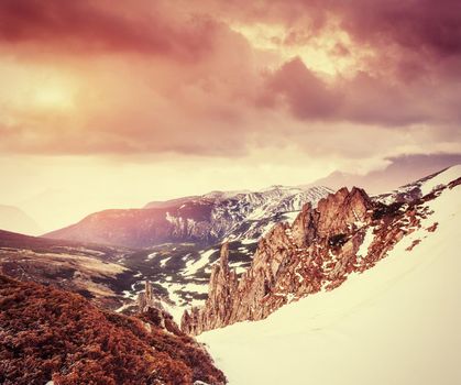 magical winter snow covered tree. Sunset in the Carpathians. Ukraine, Europe