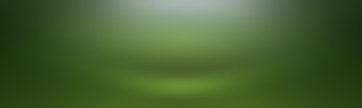 Luxury plain Green gradient abstract studio background empty room with space for your text and picture.