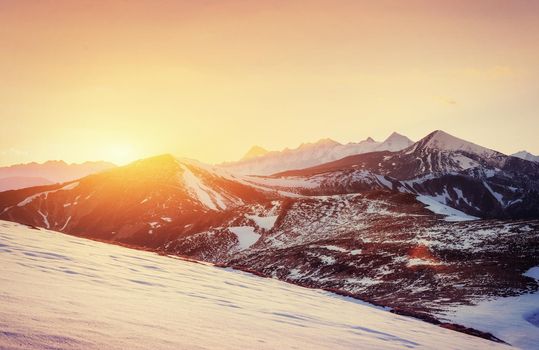 magical winter snow covered tree. Sunset in the Carpathians. Ukraine, Europe