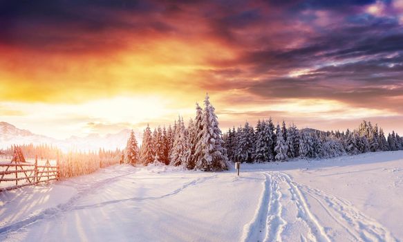 the winter road. Dramatic scene. Carpathian Ukraine Europe