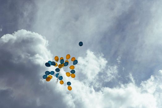 bouquet of blue and yellow balloons in the sky.