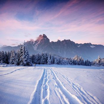 the winter road. Dramatic scene. Carpathian Ukraine Europe