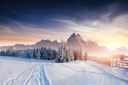 the winter road. Dramatic scene. Carpathian Ukraine Europe