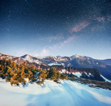 starry sky in winter snowy night. fantastic milky way in the New Year's Eve.