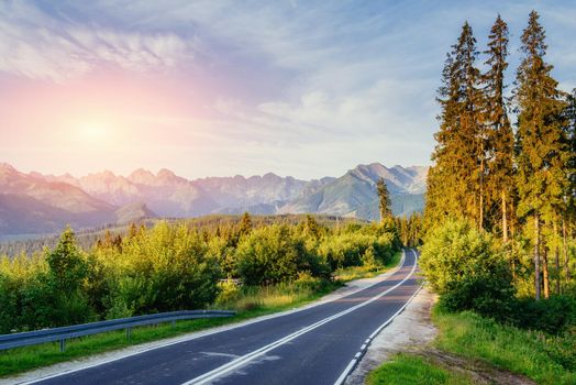 colorful road in mountains. Carpathian Ukraine Europe