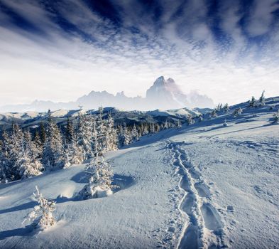 the winter road. Dramatic scene. Carpathian Ukraine Europe