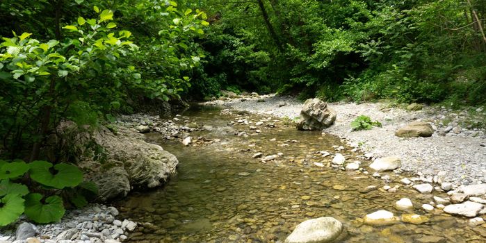 Mountain river among large stones in a green forest with small waterfalls. Sochi, Lazarevskoe, Berendeevo Tsarstvo, Russia