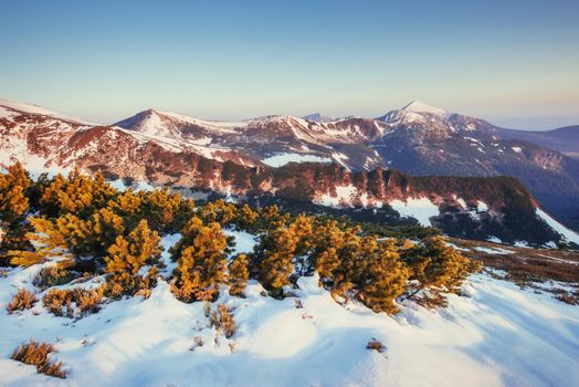 Colorful spring landscape of mountain ranges in the Carpathians national park. Ukraine, Europe.