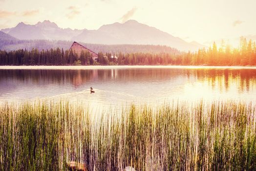 The sunrise over a lake in the park High Tatras. Shtrbske Pleso, Slovakia, Europe