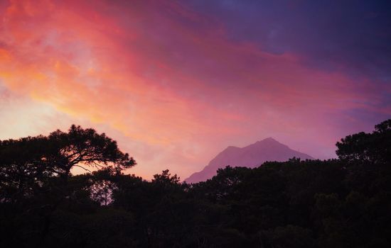 Colorful summer landscape in the Carpathian mountains. Sunset.