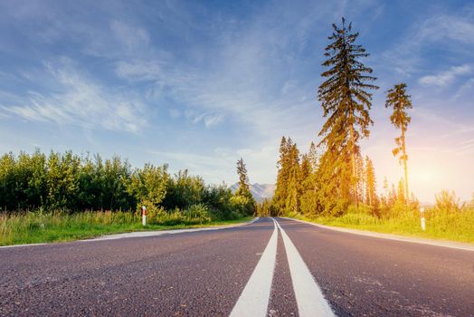 colorful road in mountains. Carpathian Ukraine Europe