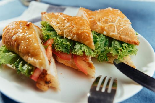 Healthy sandwich cut into pieces to show tasty ingredients salami, tomatoes, lettuce.