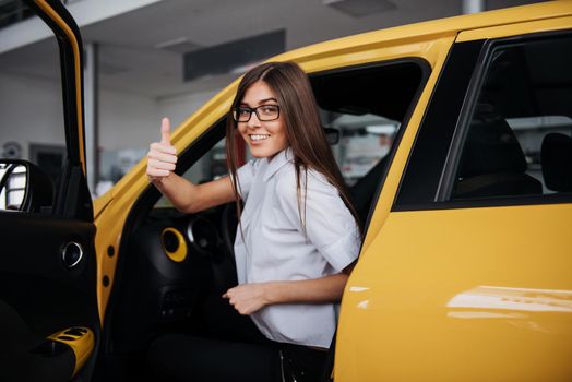 Young woman in her new car smiling.