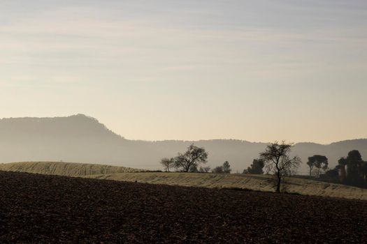 Some fields, trees and mountains in a landscape in the countryside