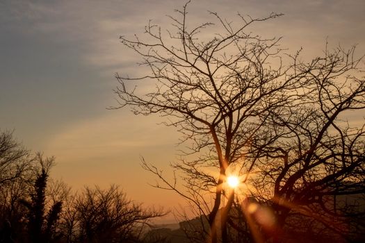 Sunset picture showing a tree silhouette and the sun behind it