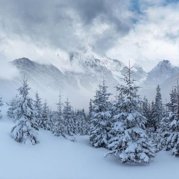 Mysterious winter landscape majestic mountains in winter. Magical winter snow covered tree. Dramatic wintry scene. Carpathian. Ukraine. Europe